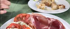 Esperienza biologica in agriturismo: pranzo, vino, olio, mozzarella, limoncello, trasferimento